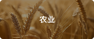 農(nóng)業(yè)