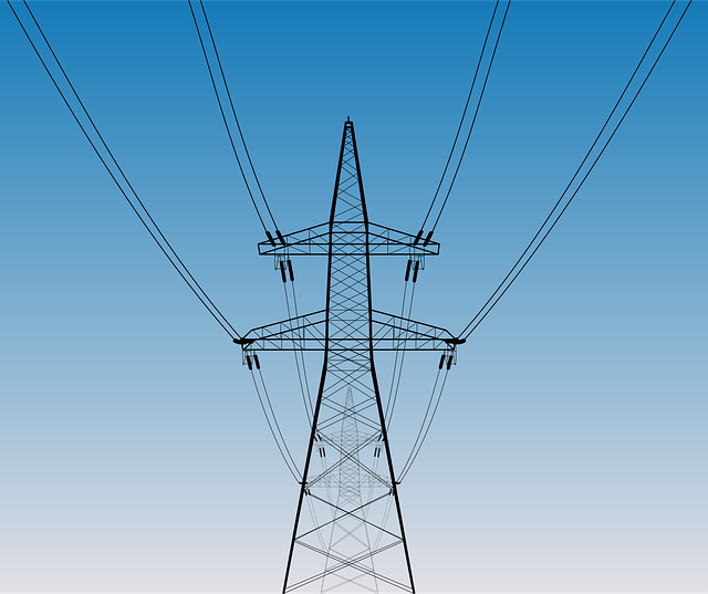 2021年中國綠電交易市場調(diào)查研究與發(fā)展前景預(yù)測報告