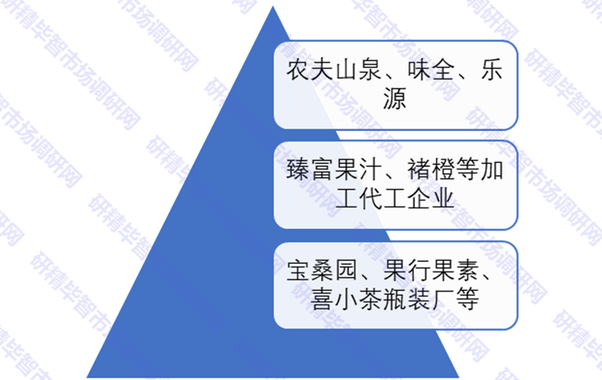 中國NFC果汁競爭梯隊