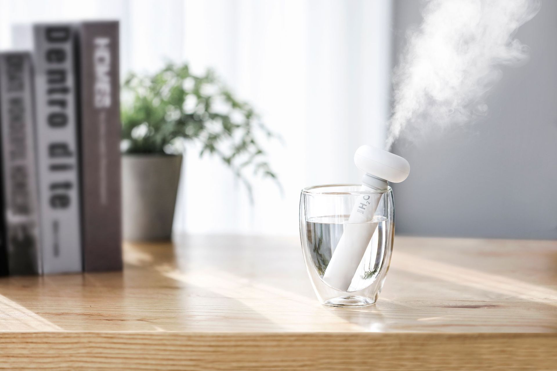 全球及中國(guó)旅行加濕器細(xì)分市場(chǎng)調(diào)研報(bào)告 2019-2029