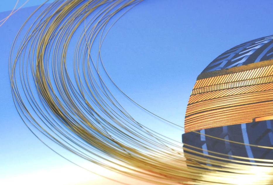 全球及中國鋼簾線市場(chǎng)調(diào)研及投資前景分析調(diào)研報(bào)告 2023