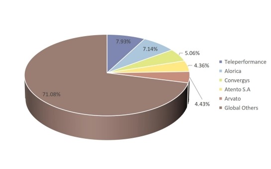 2017年五大制造商呼叫中心市場份額