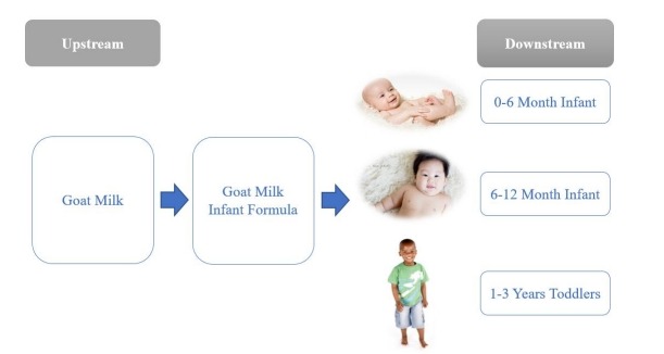 山羊奶嬰兒配方奶粉價(jià)值鏈分析 山羊奶嬰兒配方奶粉價(jià)值鏈分析