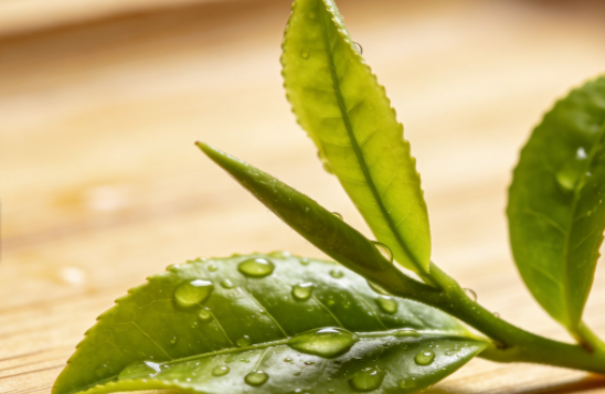 全球茶葉市場高增長賽道與用戶消費(fèi)消費(fèi)趨勢分析